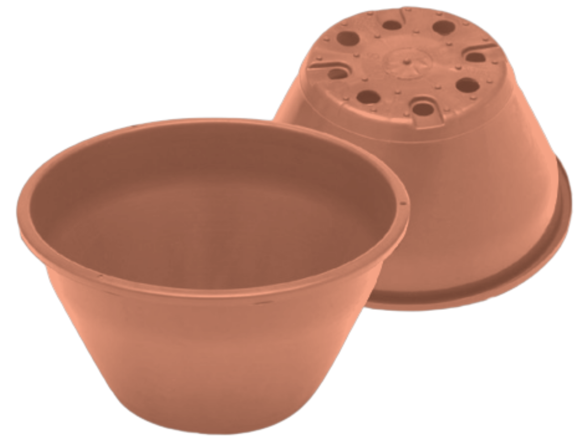 Terracota