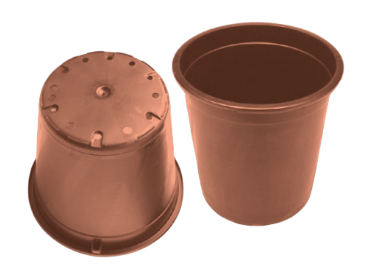 Terracota