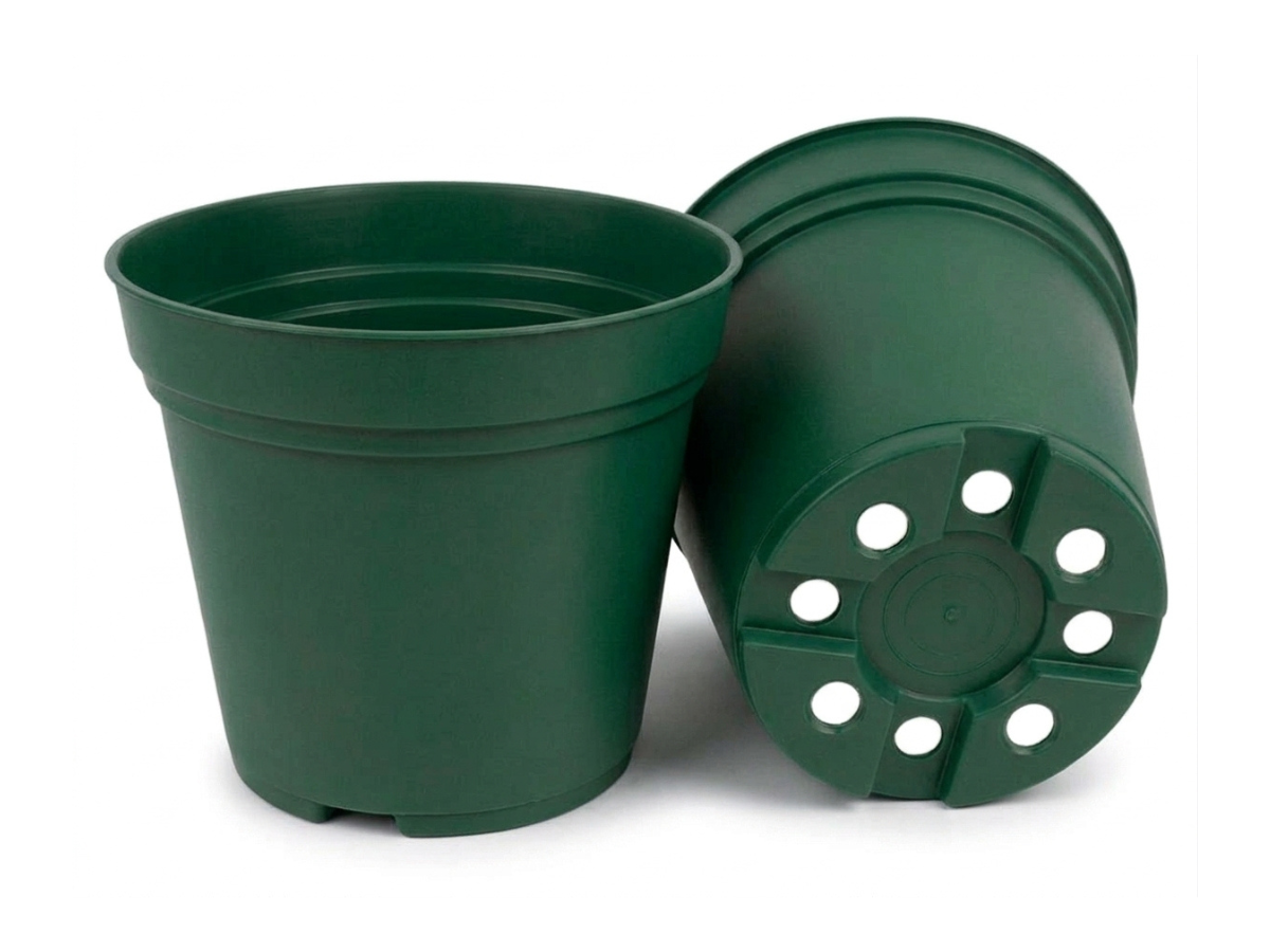 Verde Oscuro