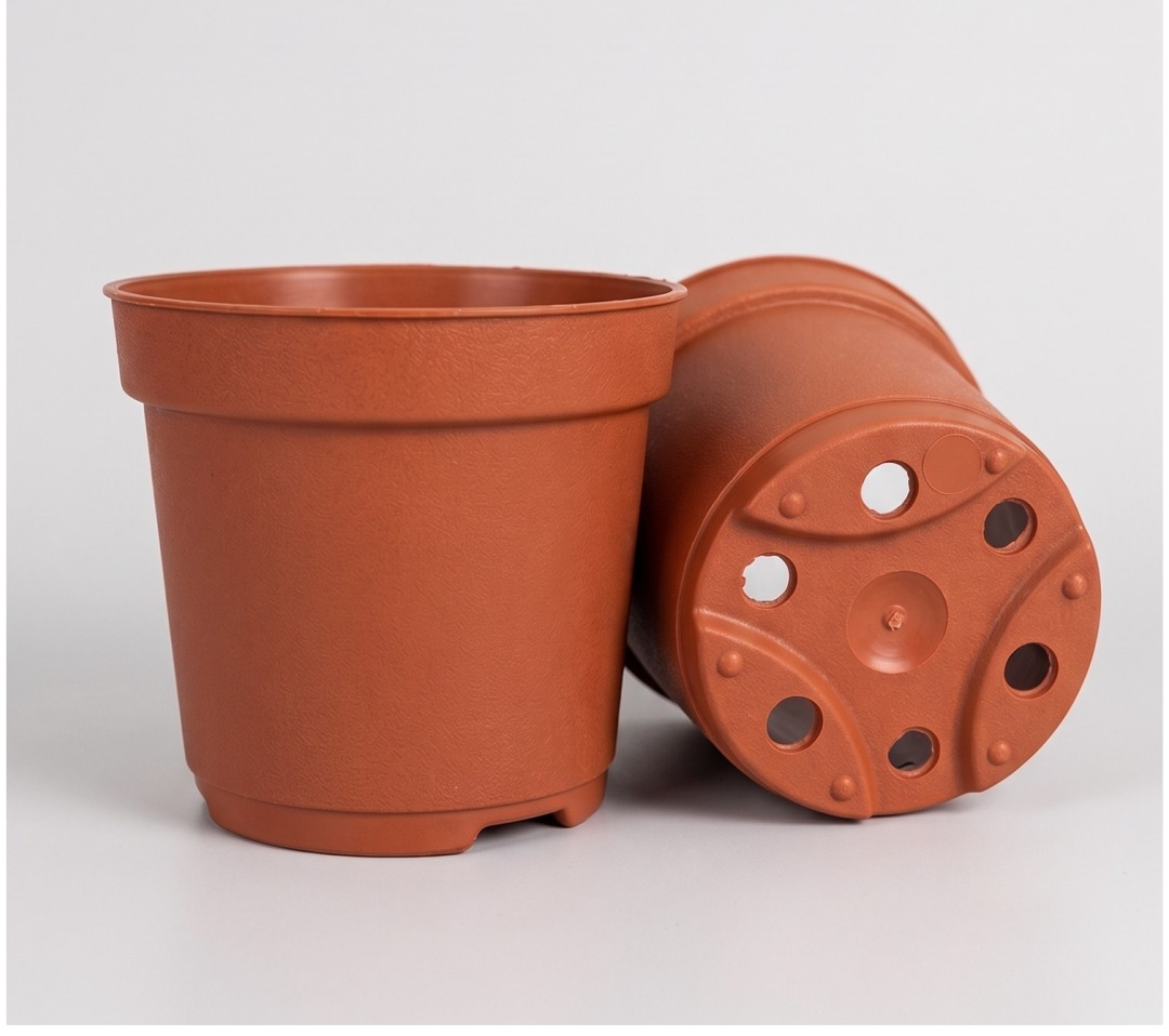Terracota