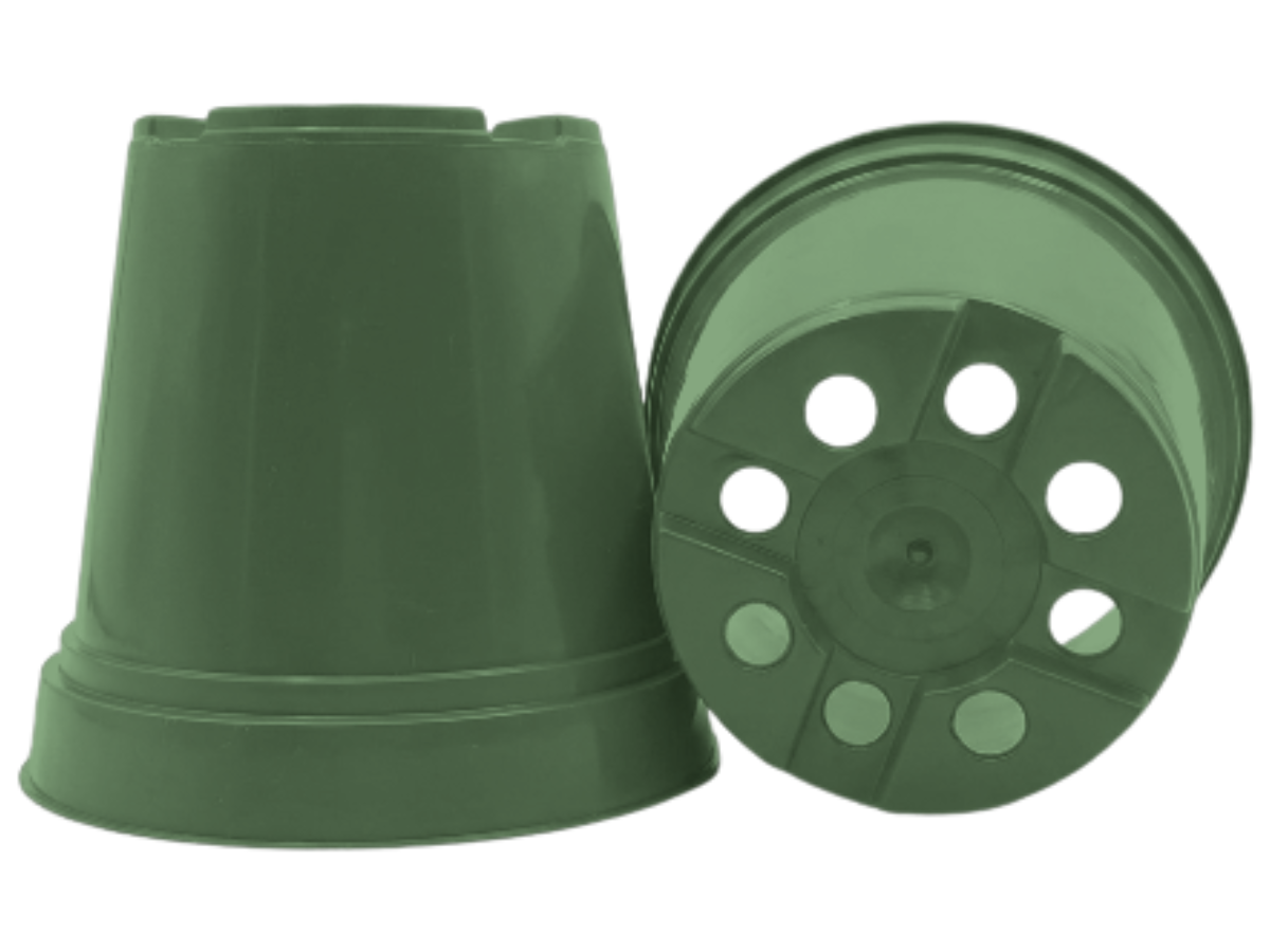 Verde Oscuro