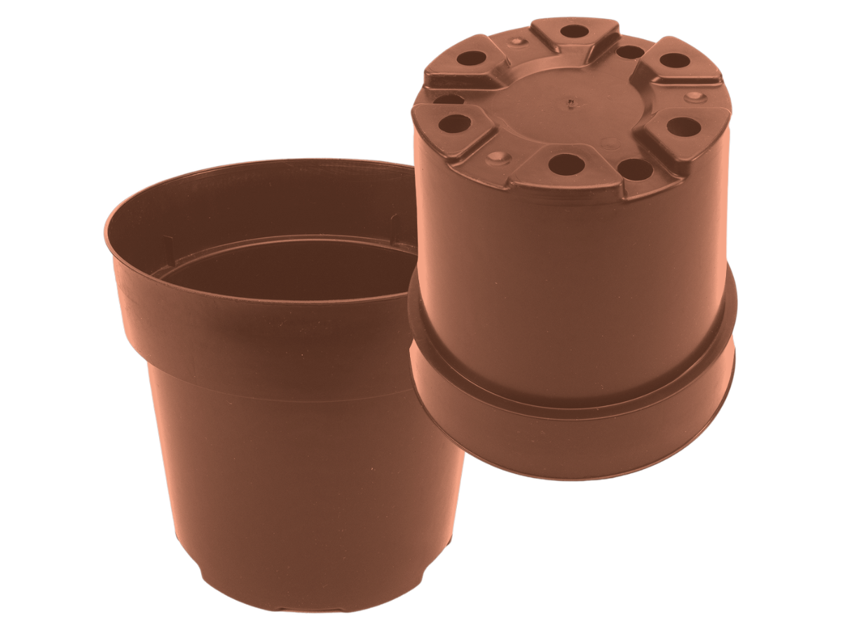 Terracota