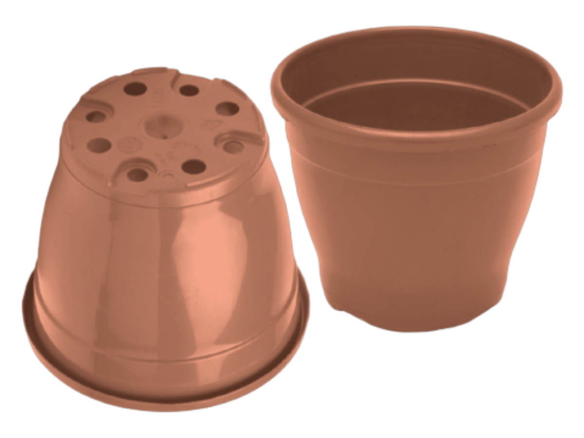 Terracota