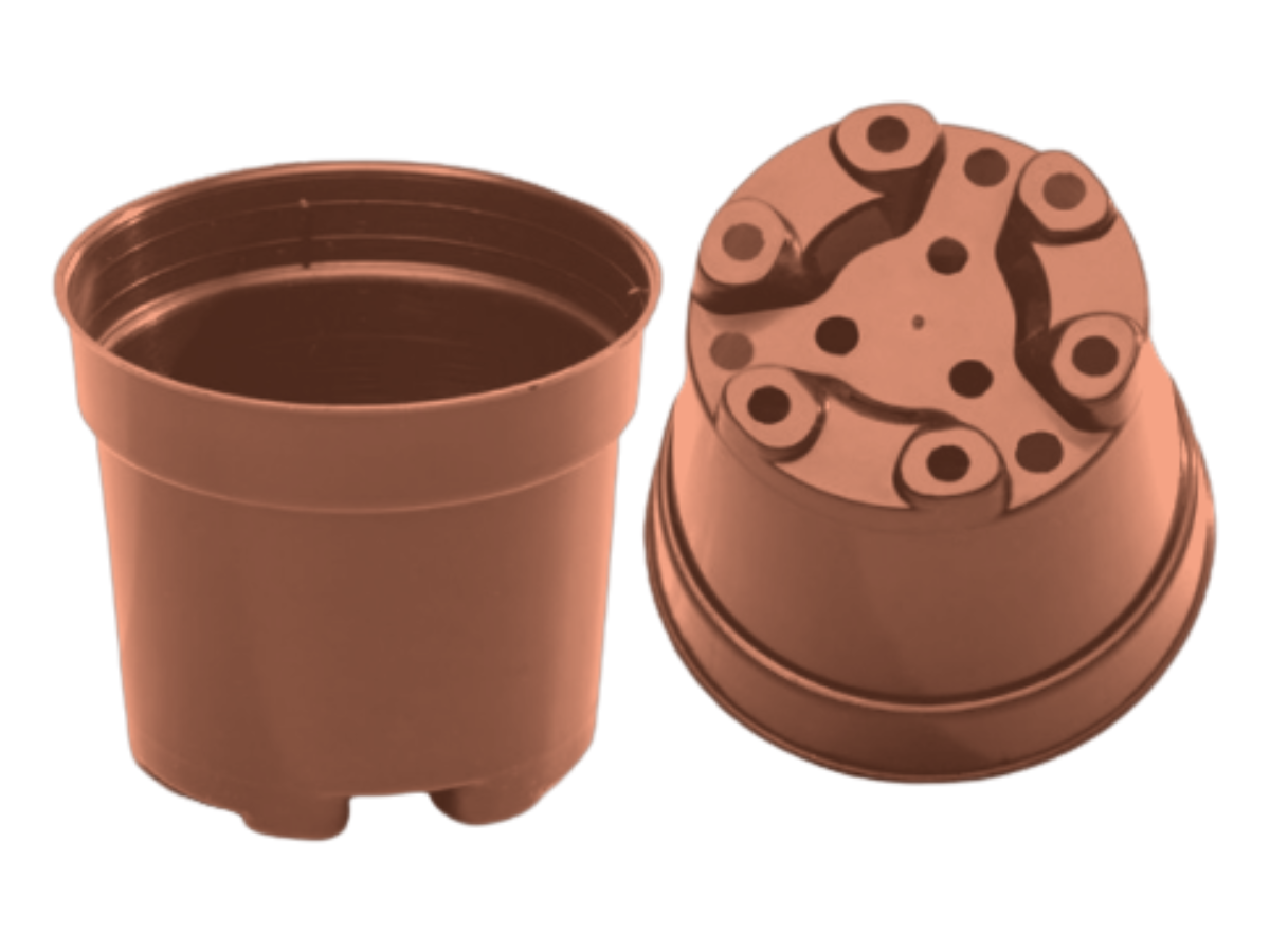 Terracota