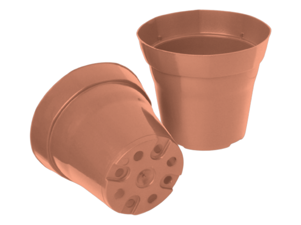 Terracota