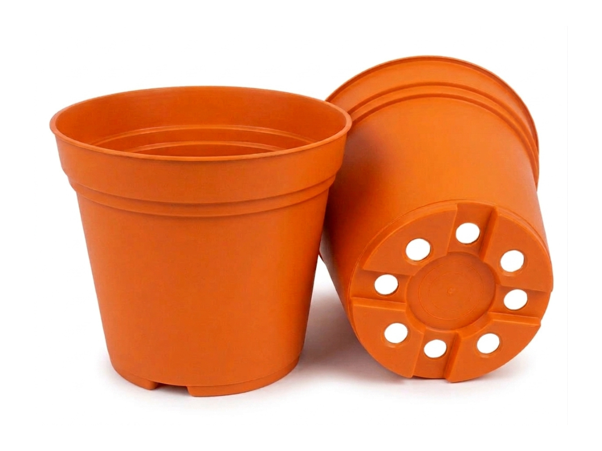 Naranja