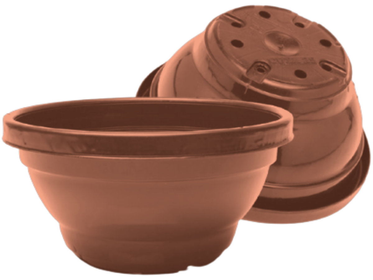 Terracota