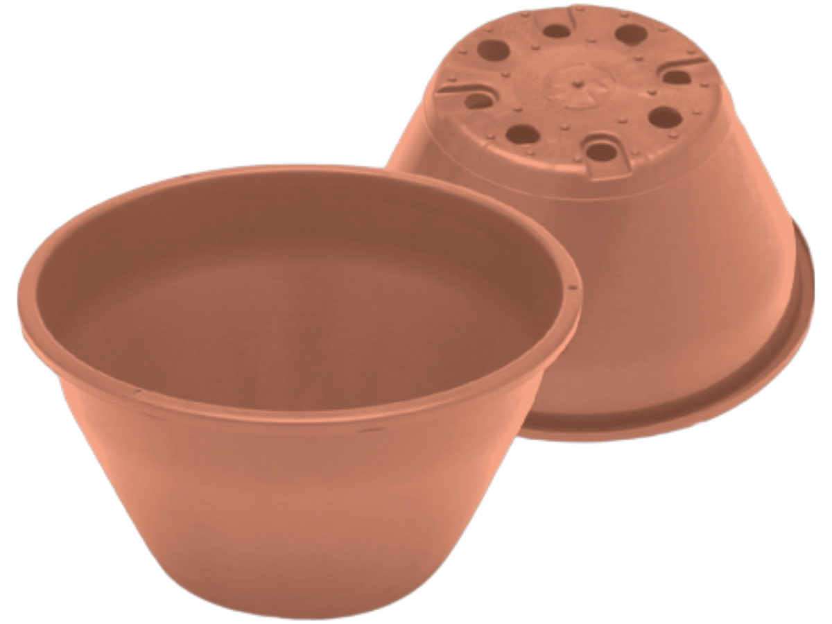 Terracotta