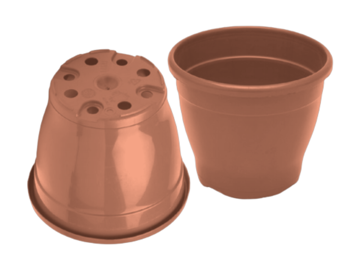 Terracota
