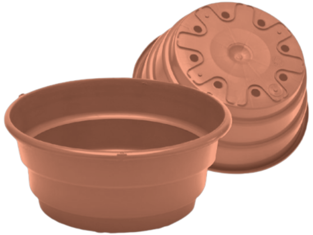 Terracota