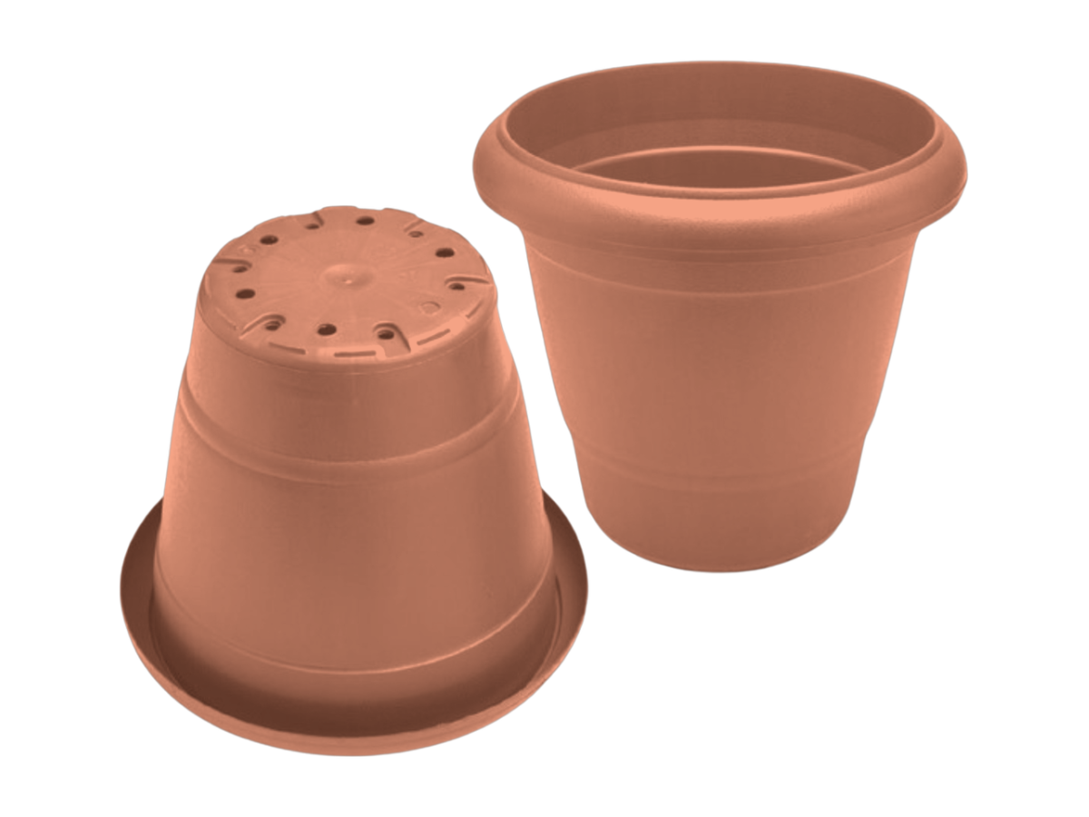 Terracota
