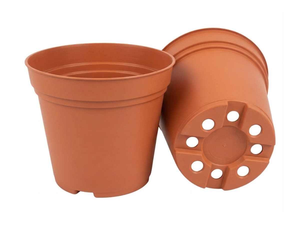 Terracota