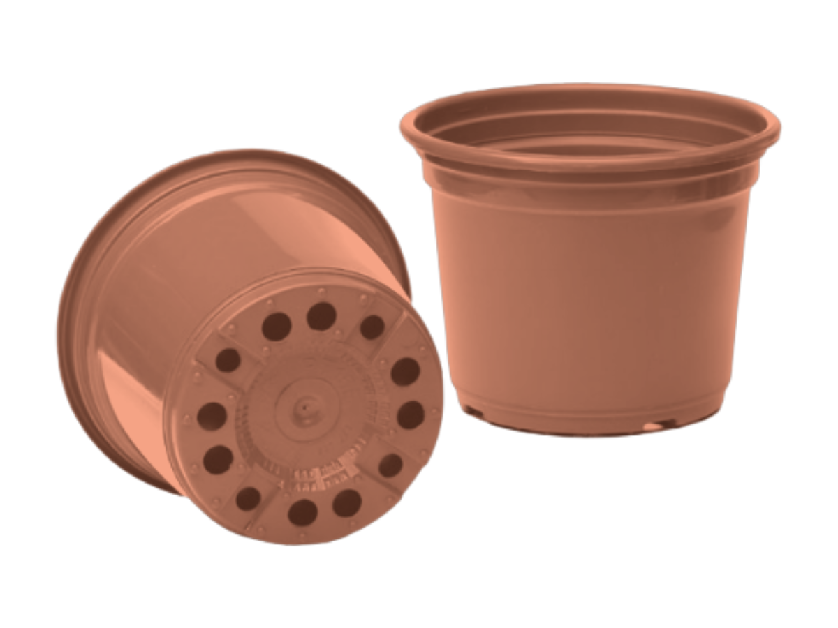 Terracota