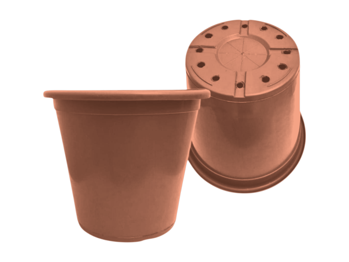 Terracota