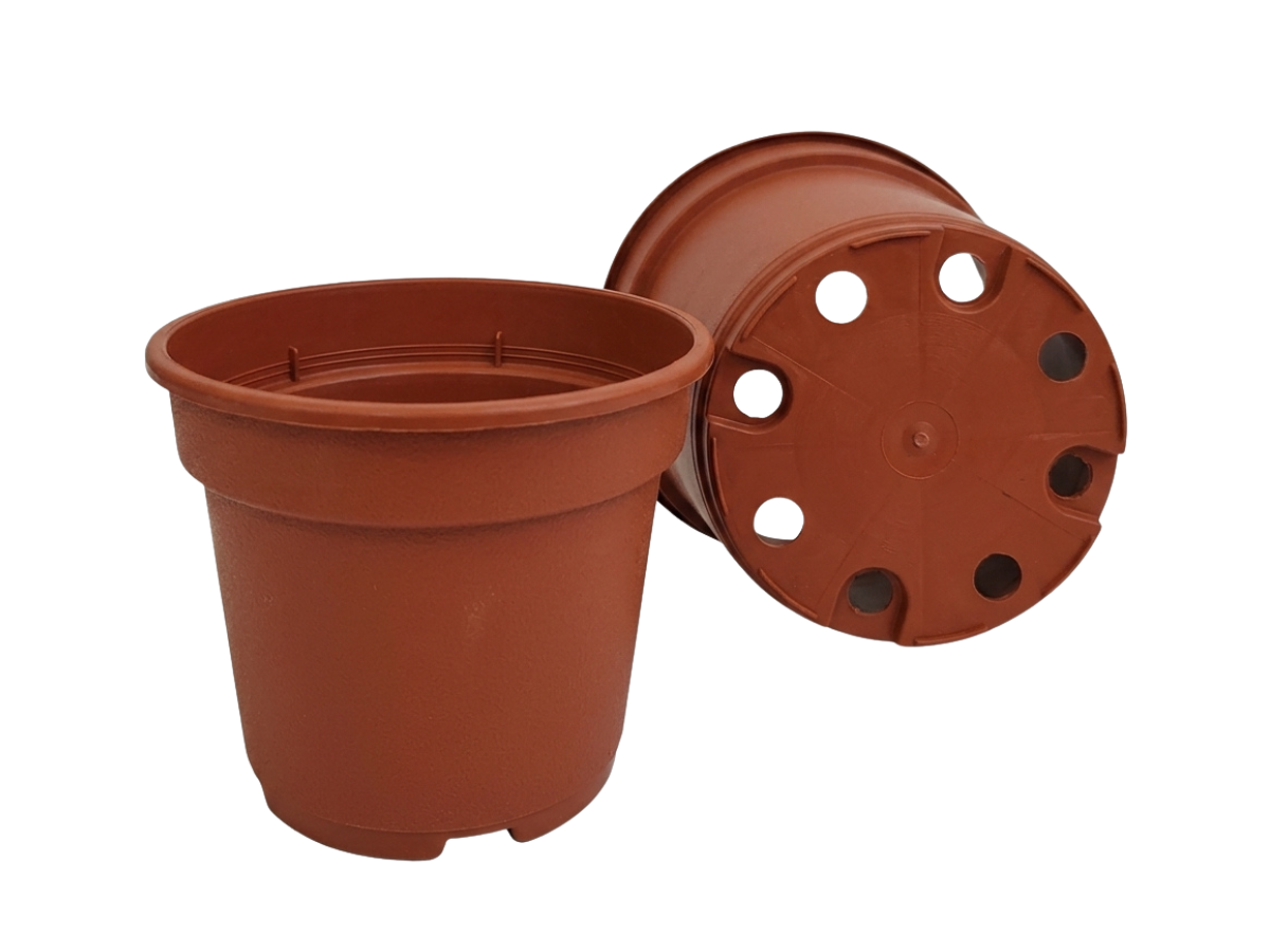 Terracota