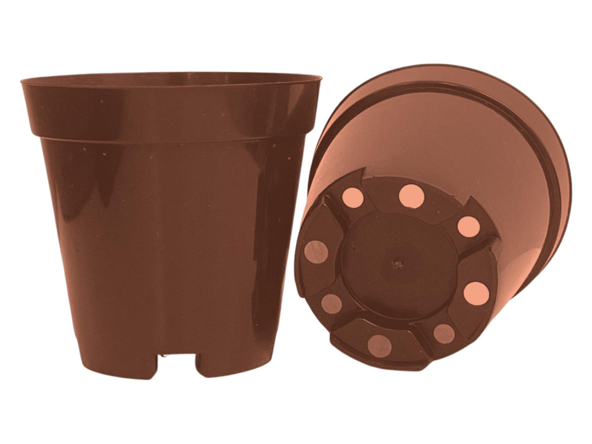 Terracotta