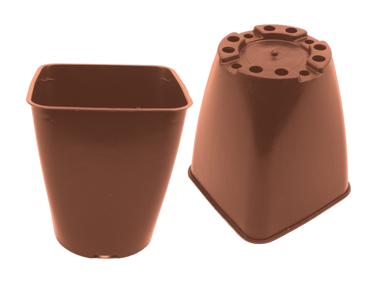 Terracota
