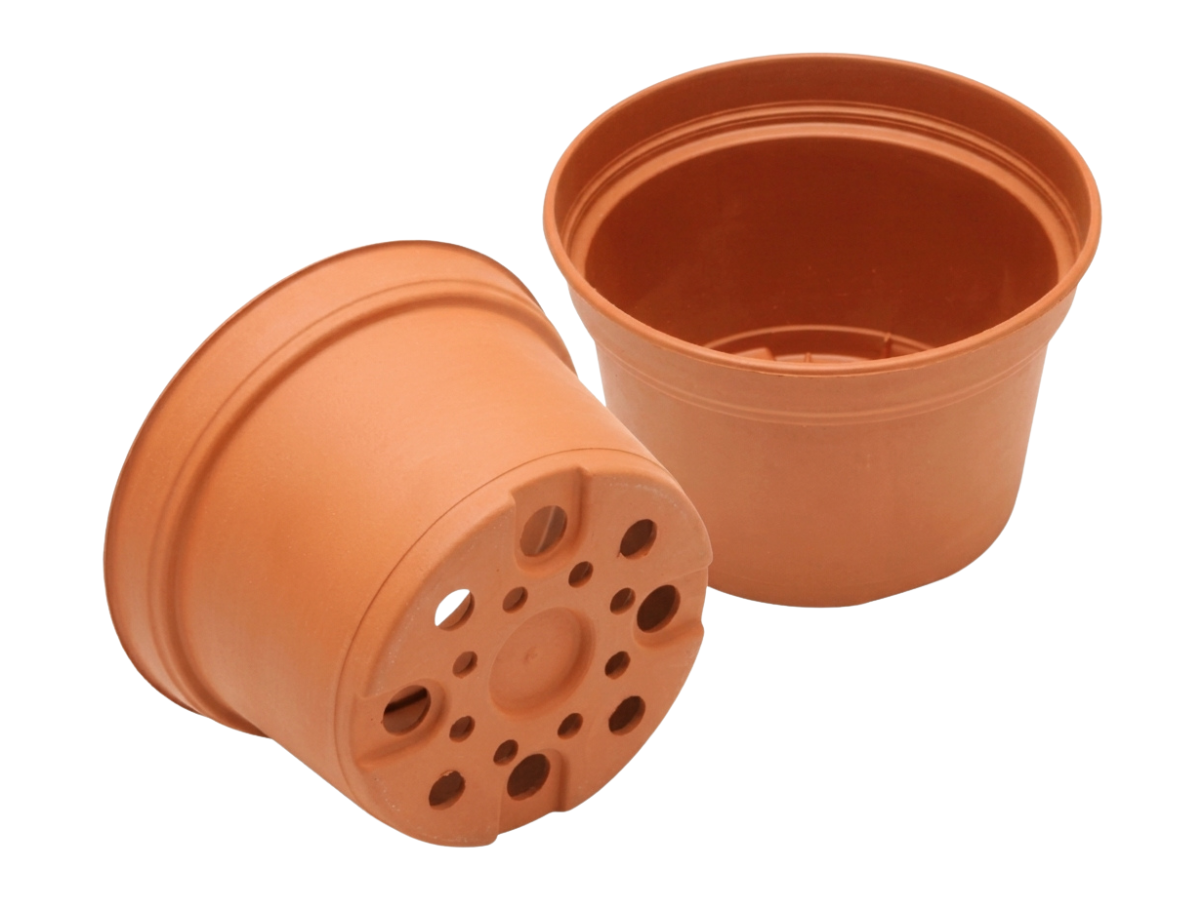 Terracota