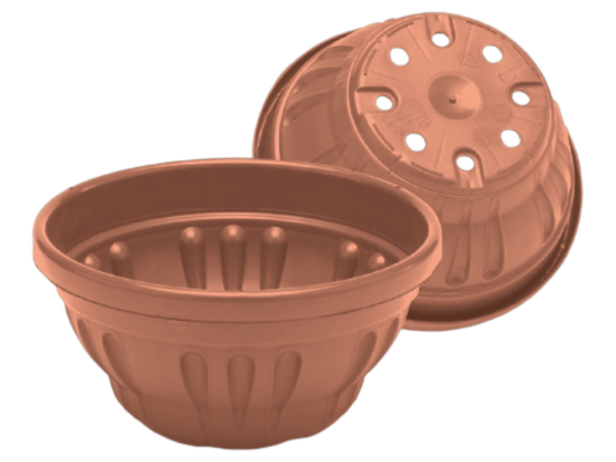 Terracota