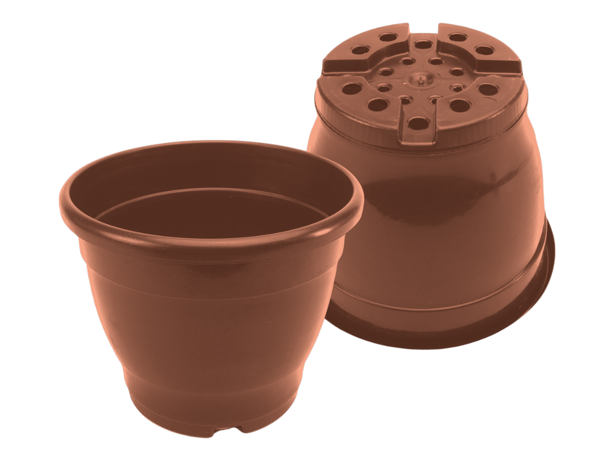 Terracota