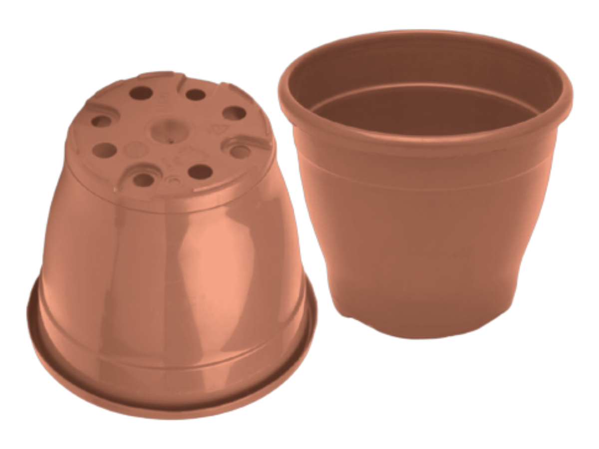 Terracota