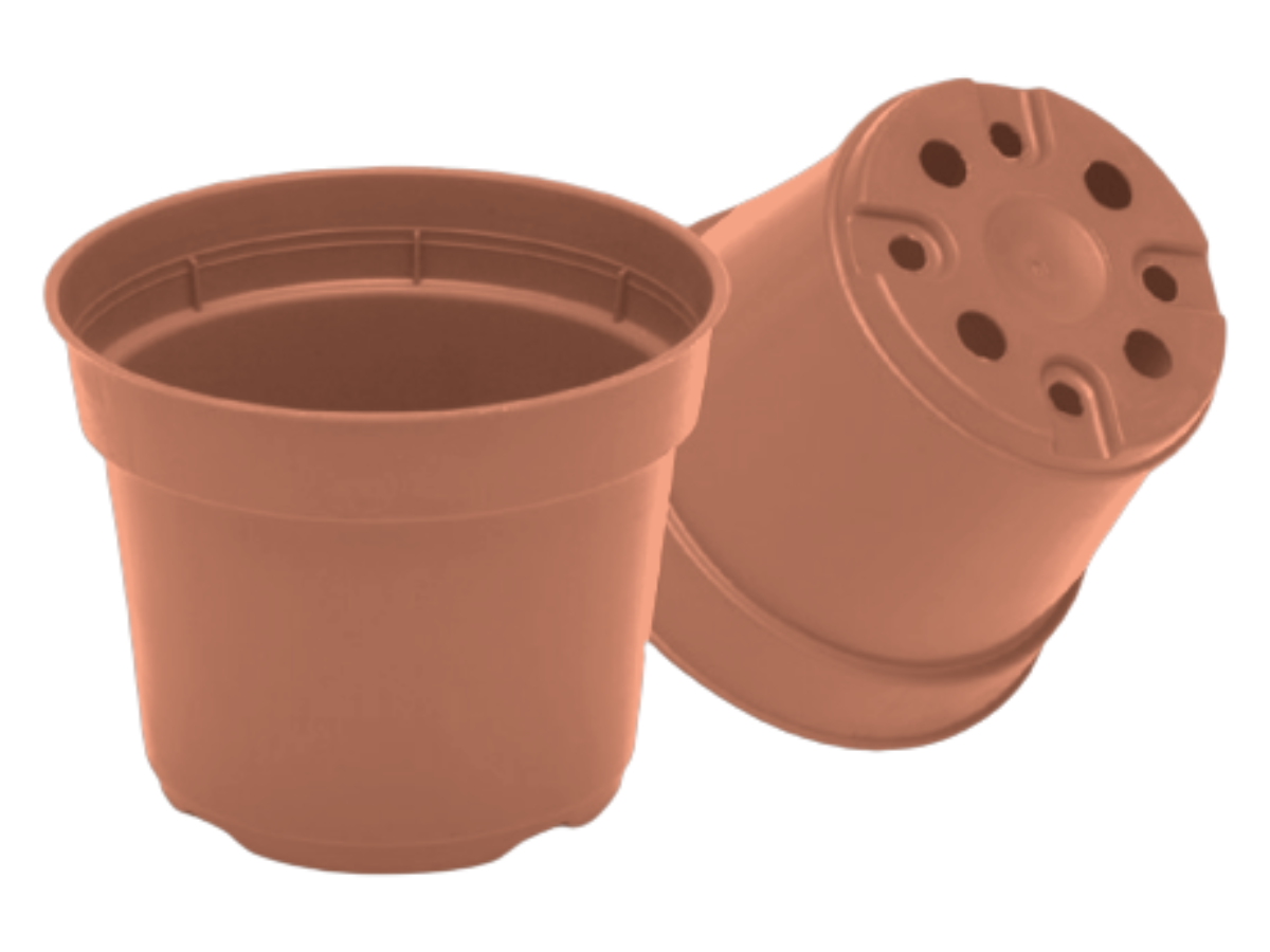 Terracota