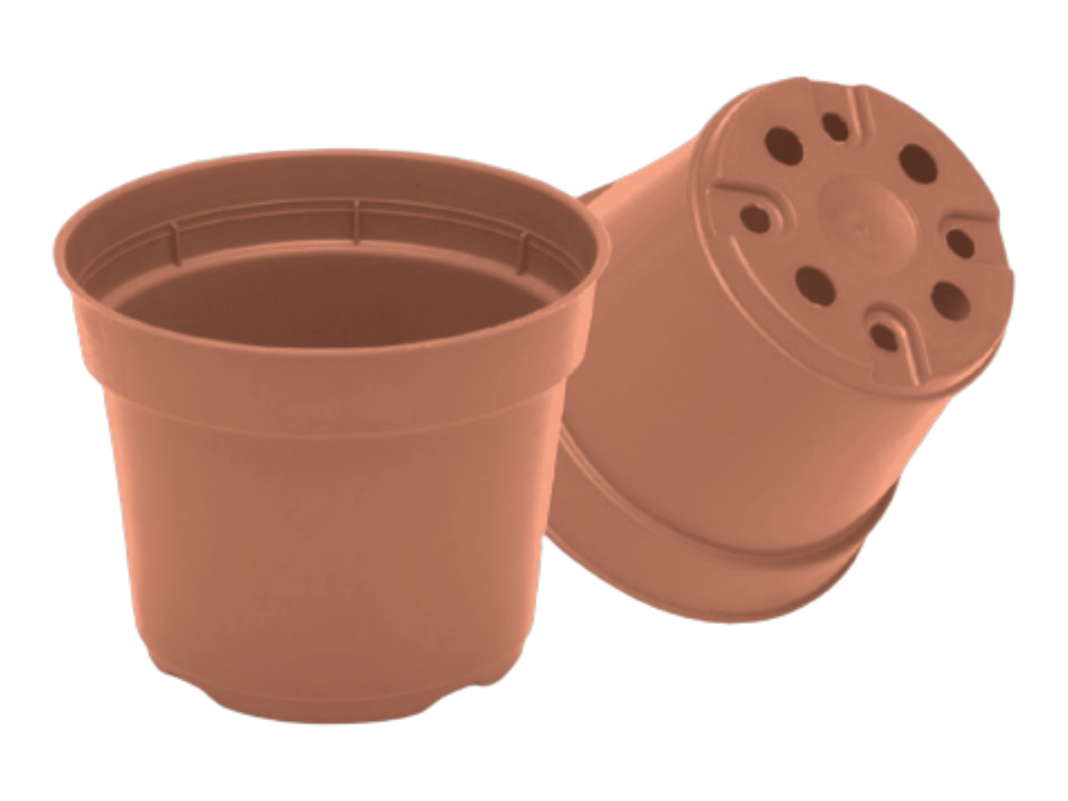 Terracota