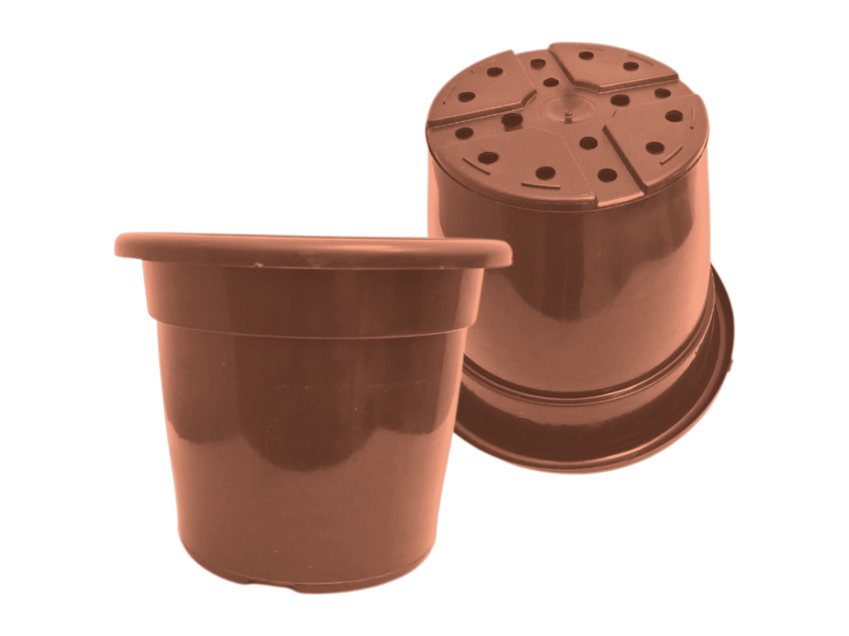 Terracota