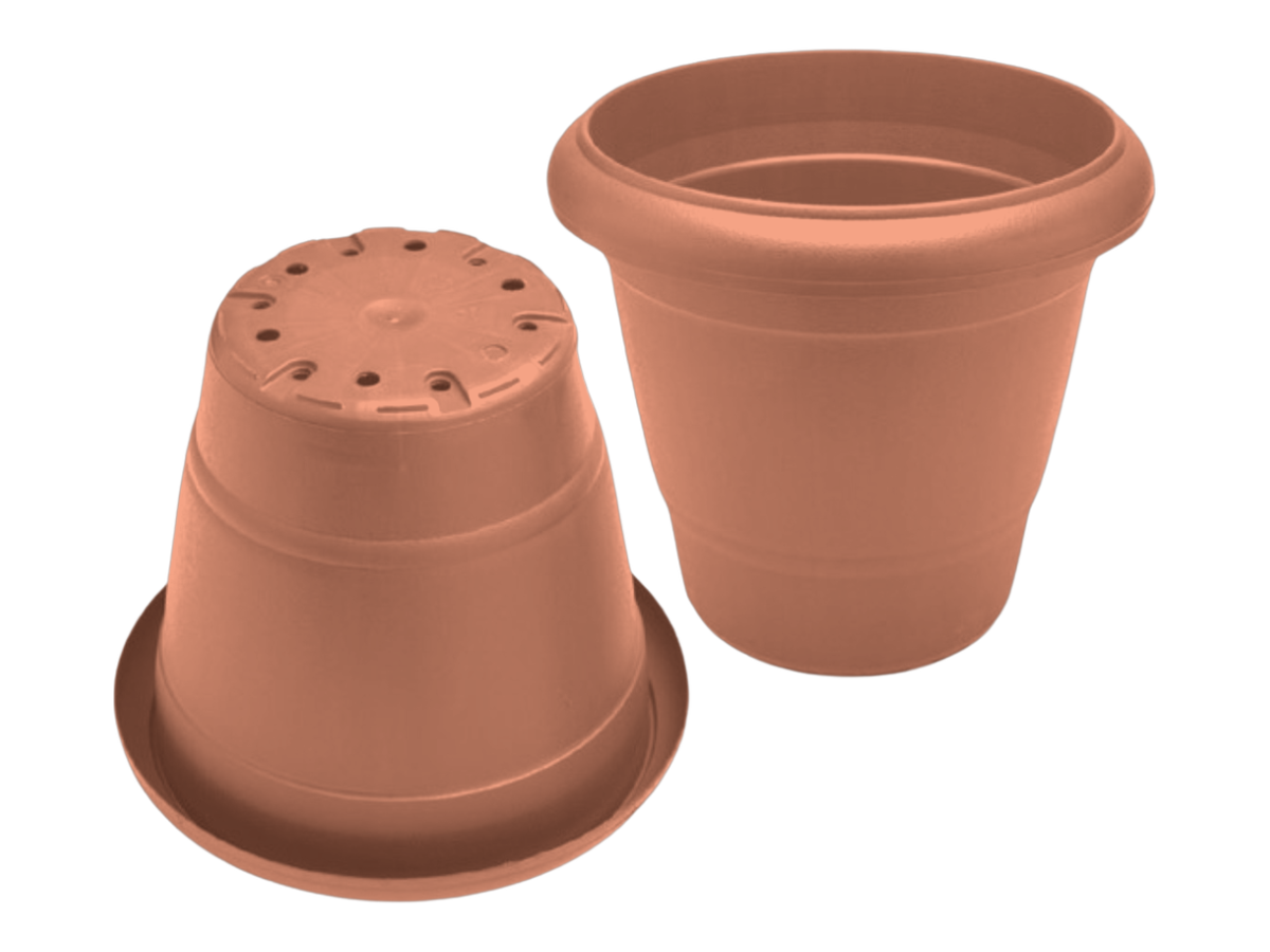 Terracota