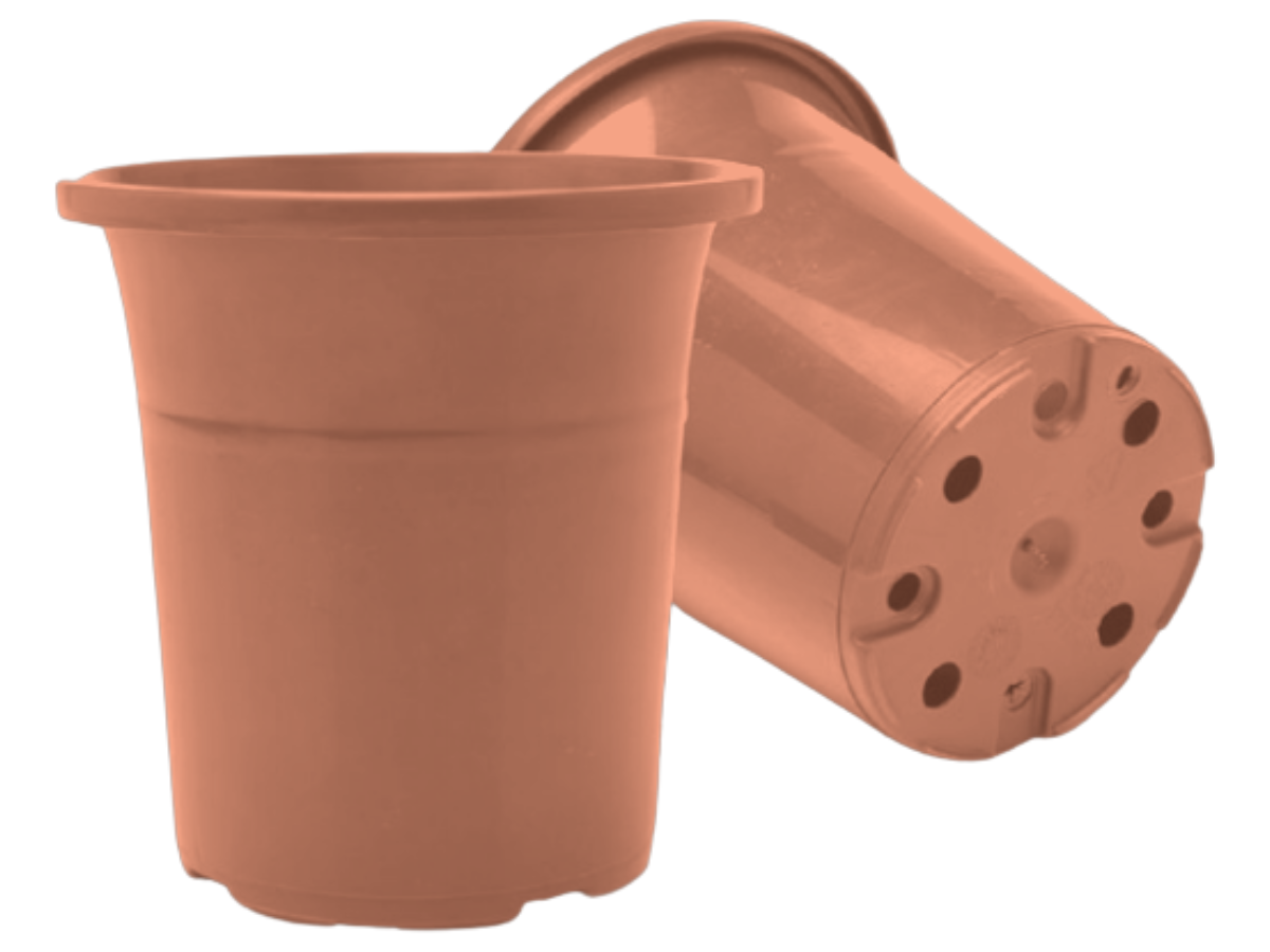 Terracota