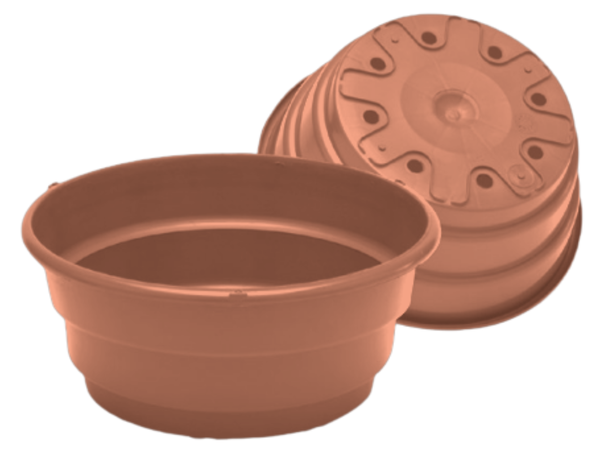 Terracota