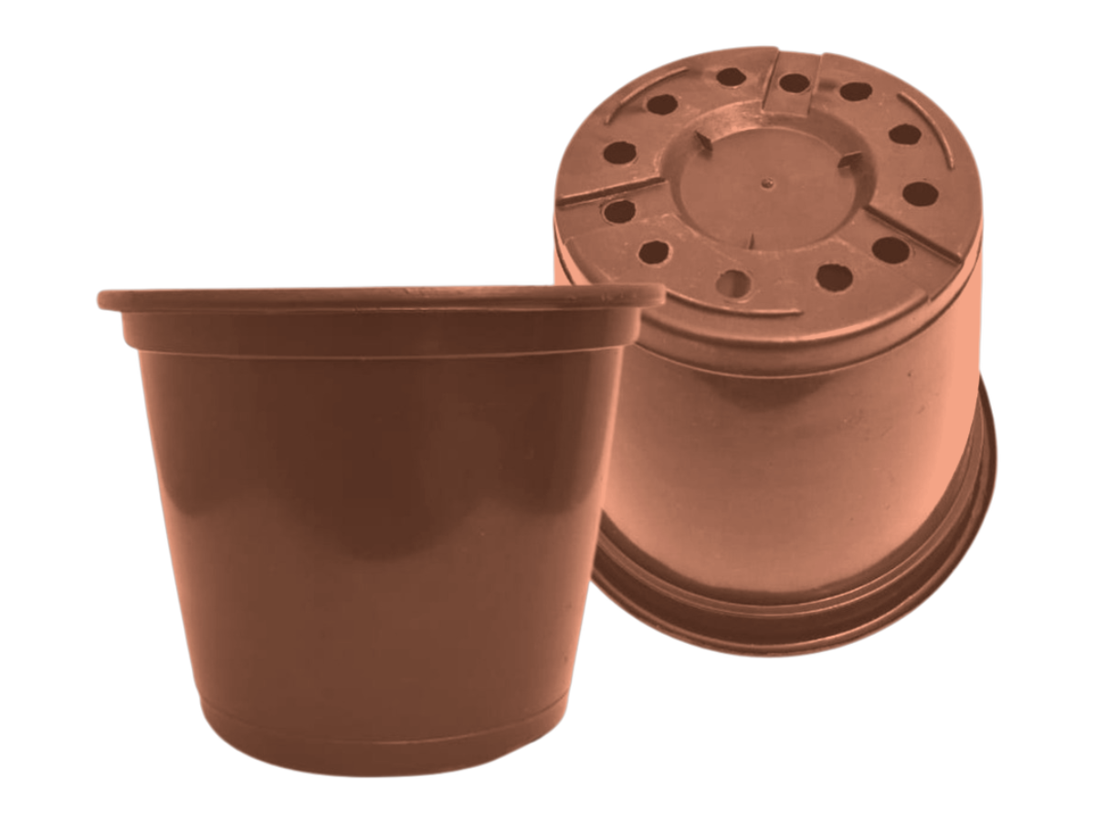Terracota