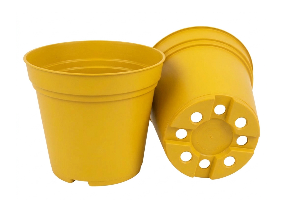 Amarillo