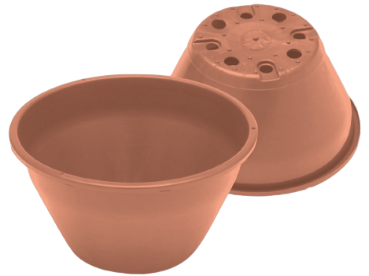 Terracota