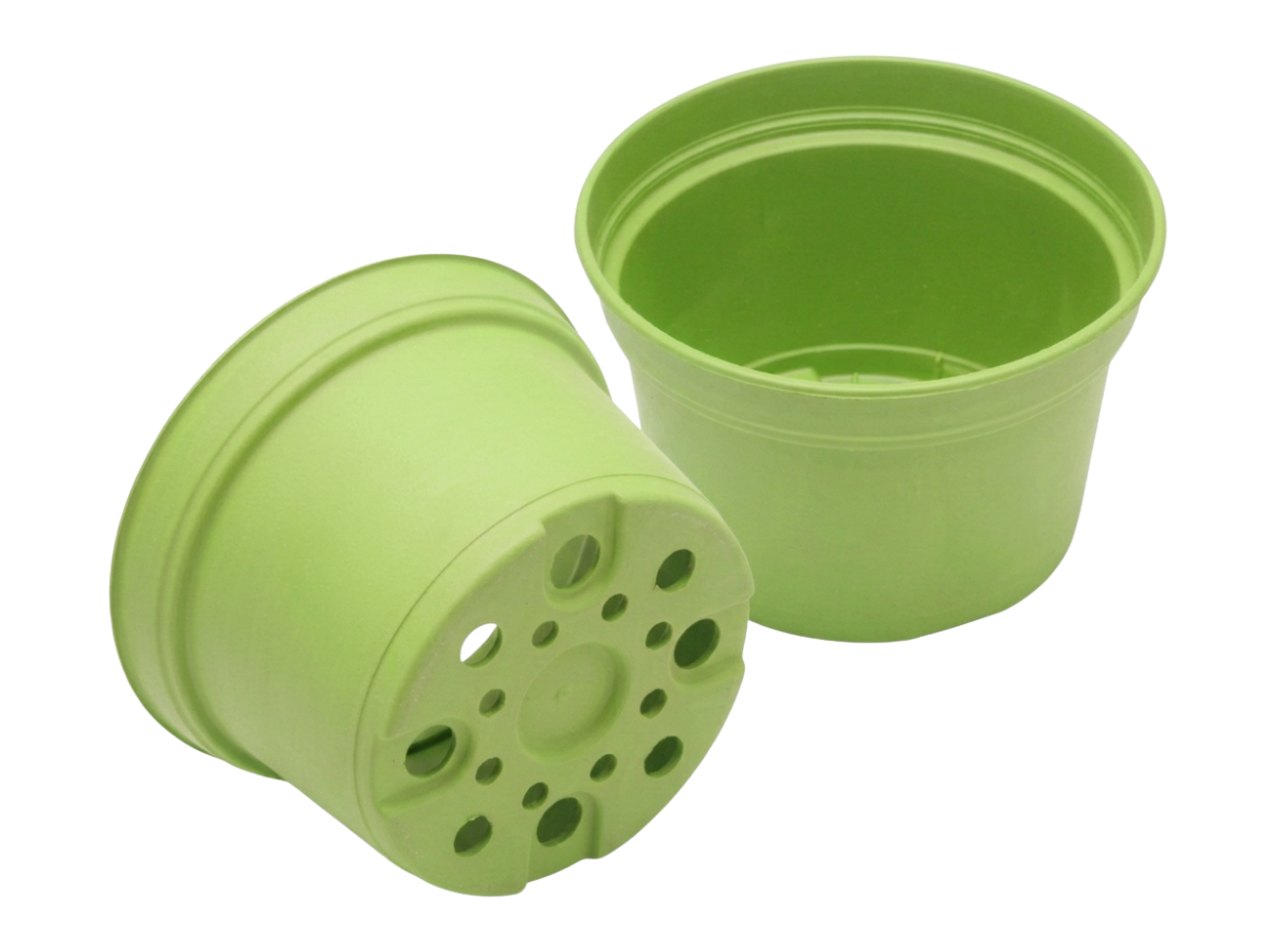 Verde Claro