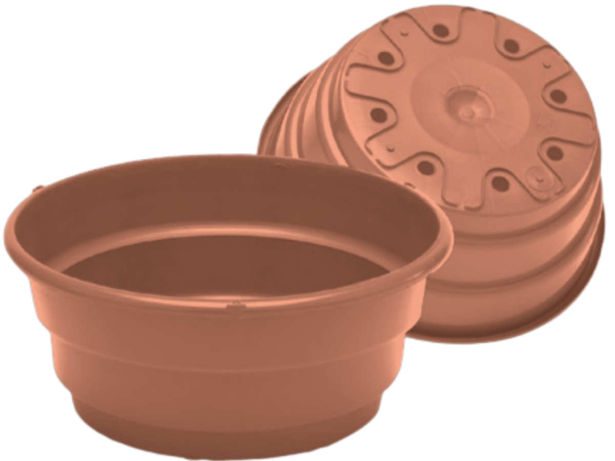 Terracota