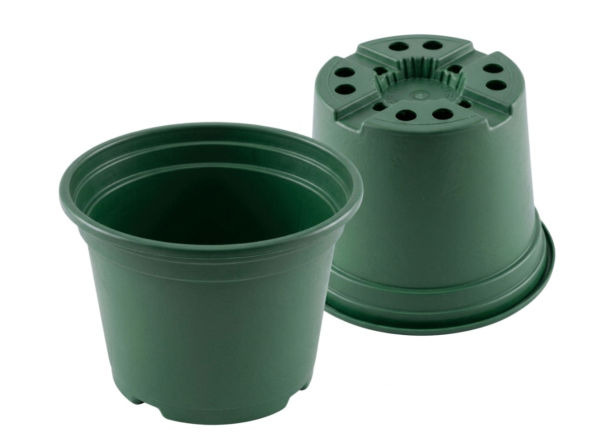 Verde Oscuro