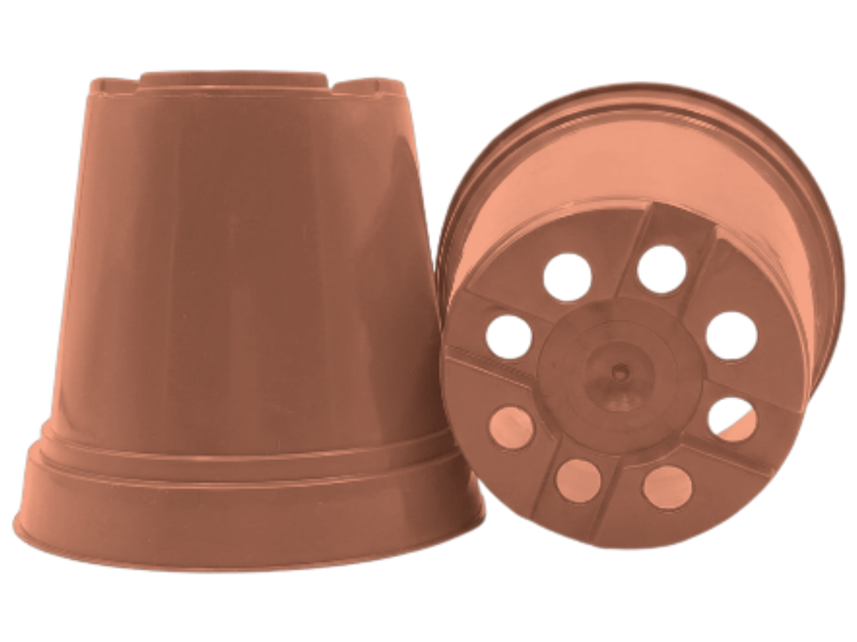 Terracota
