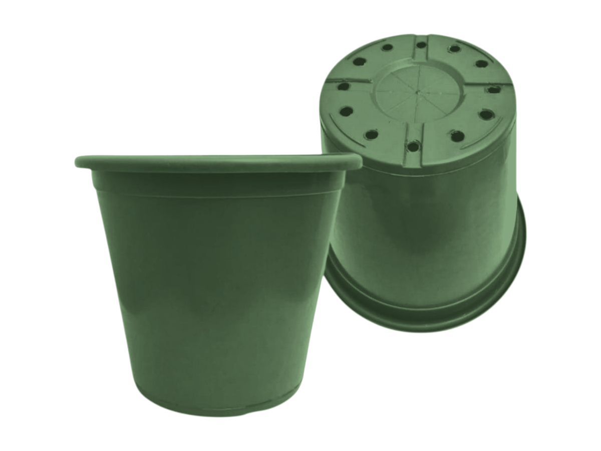 Verde Oscuro