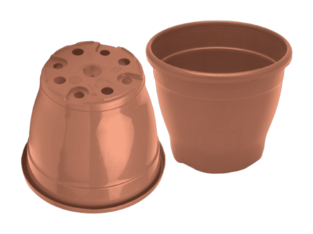 Terracota