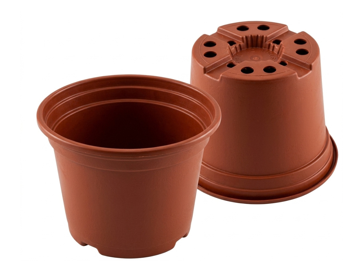 Terracota