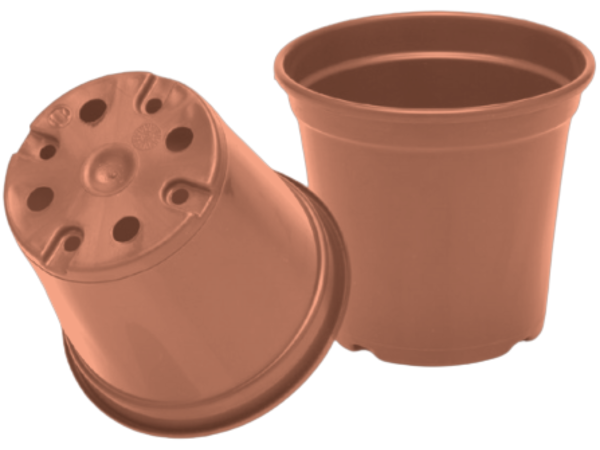Terracota