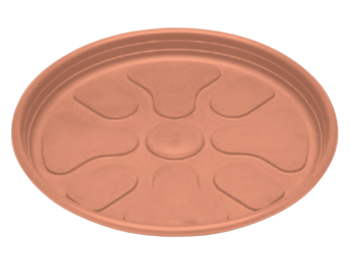 Terracota