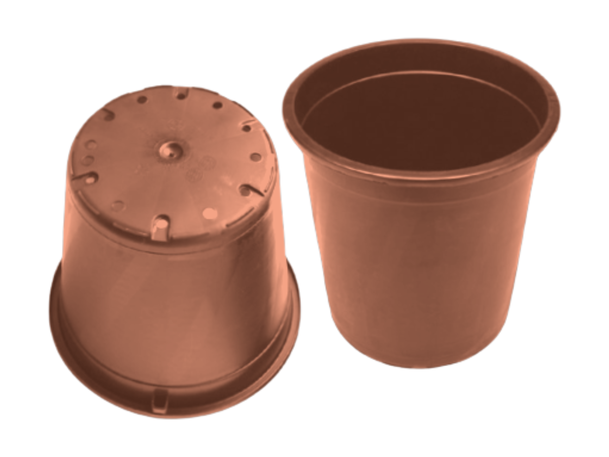 Terracota