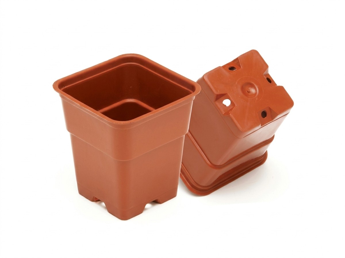 Terracota