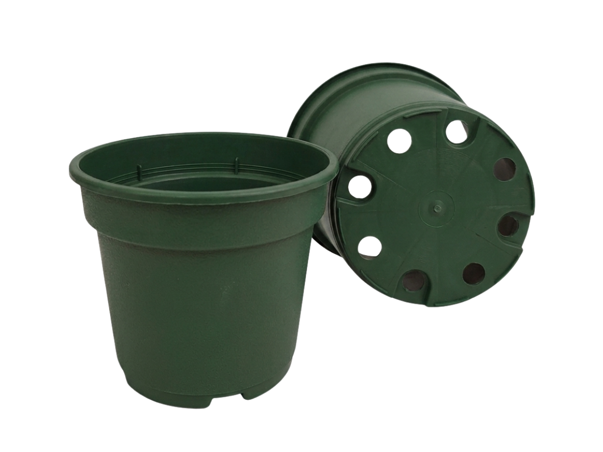 Verde Oscuro