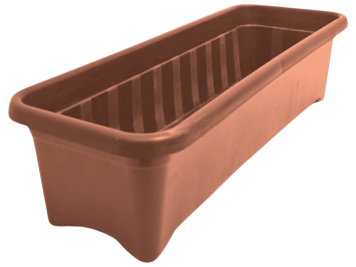 Terracota
