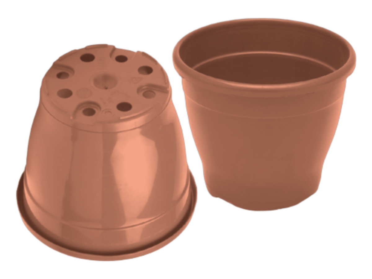 Terracota