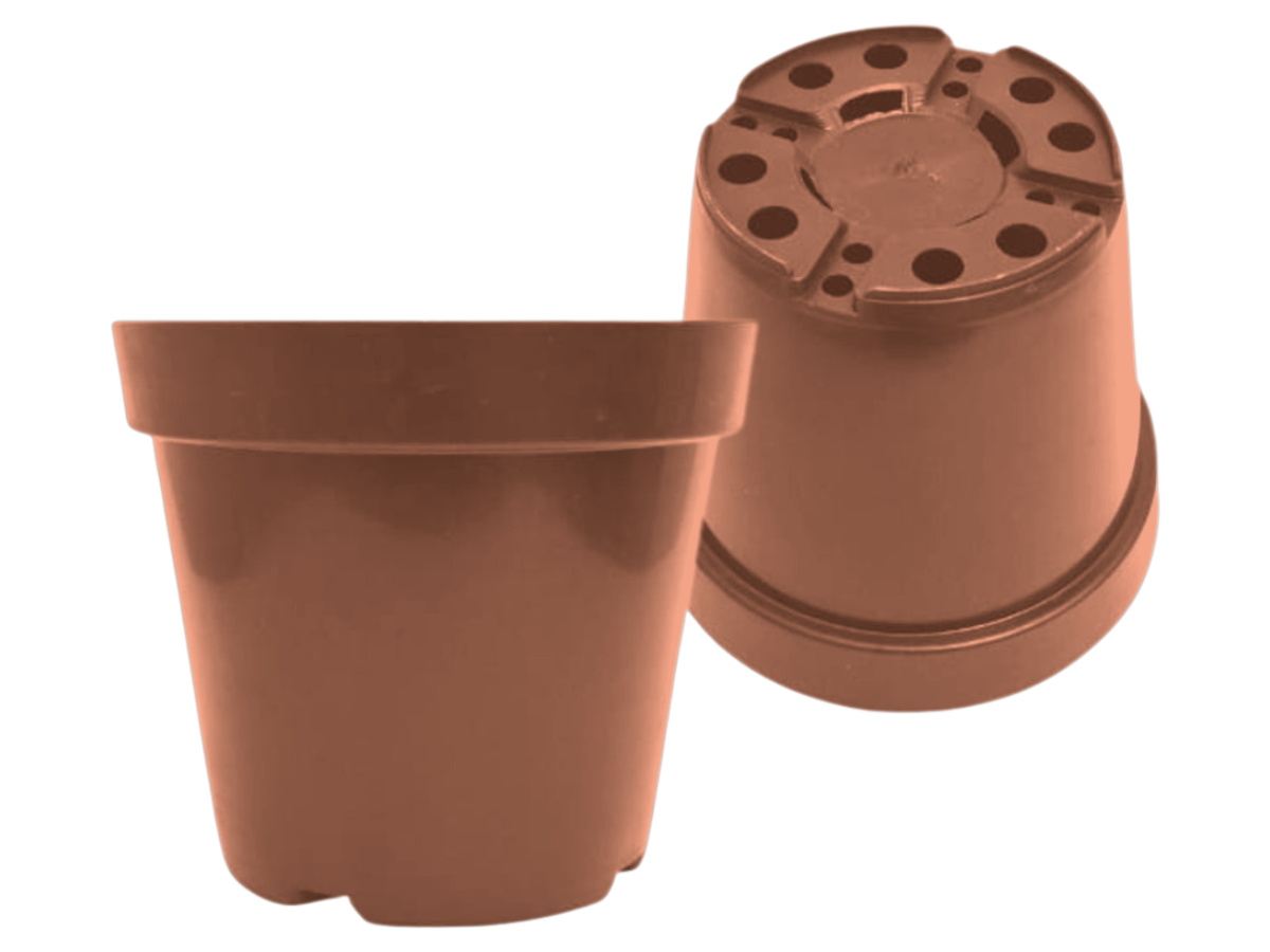 Terracota