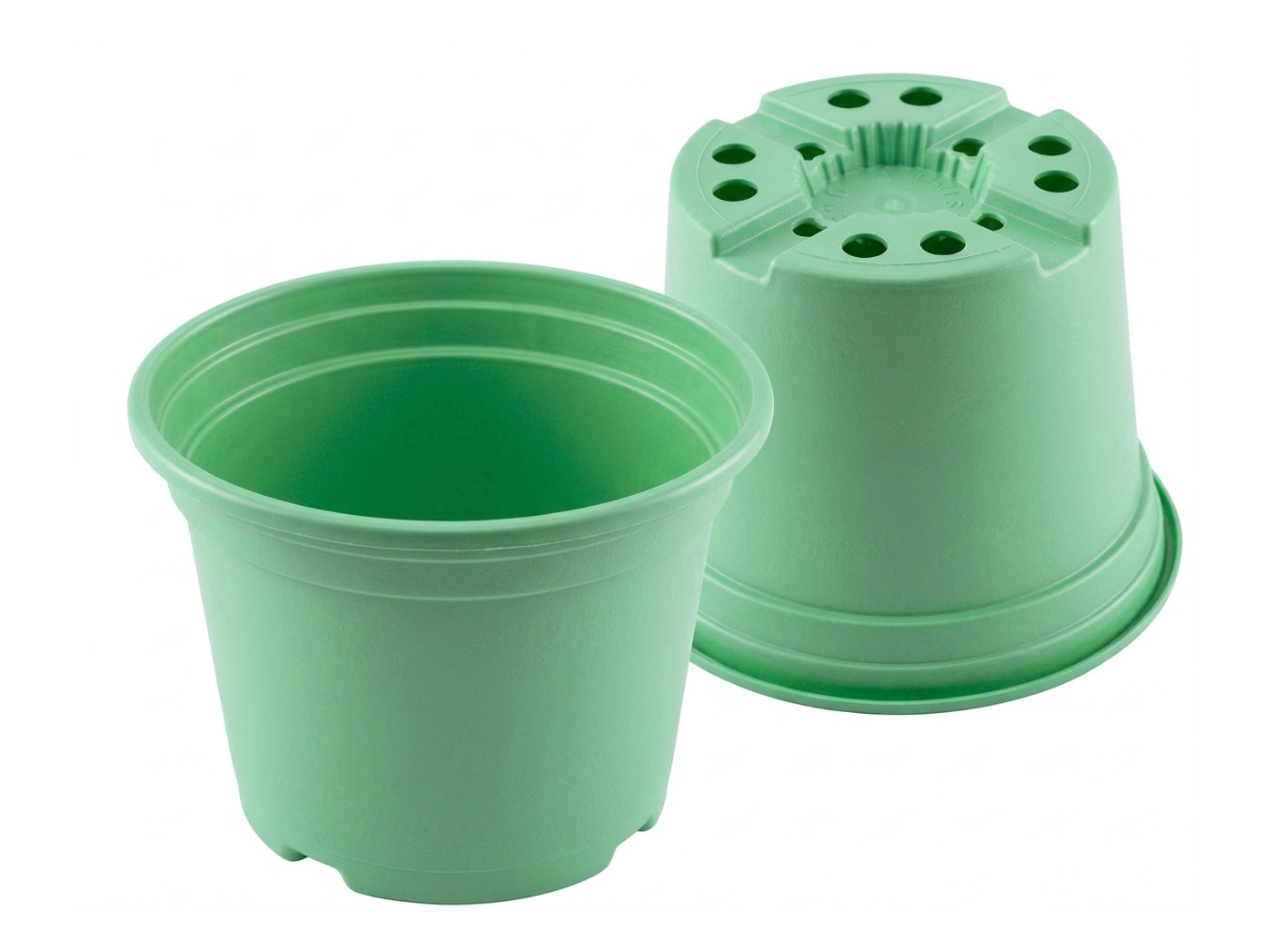 Verde Claro